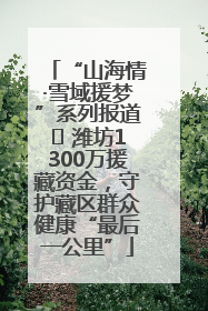 “山海情·雪域援梦”系列报道⑪ 潍坊1300万援藏资金，守护藏区群众健康“最后一公里”