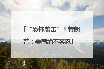 “恐怖袭击”！特朗普：美国绝不容忍