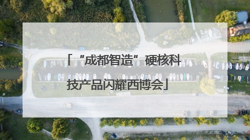 “成都智造”硬核科技产品闪耀西博会