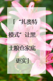 “扎赉特模式”让黑土粮仓家底更实
