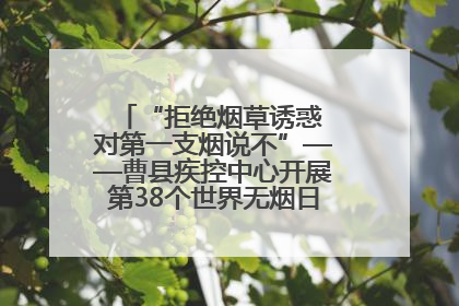 “拒绝烟草诱惑 对第一支烟说不”——曹县疾控中心开展第38个世界无烟日科普宣传活动