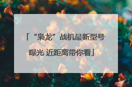 “枭龙”战机最新型号曝光 近距离带你看