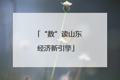 “数”读山东经济新引擎