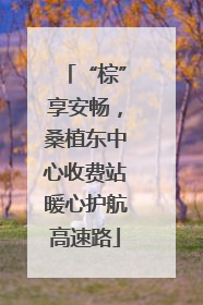 “棕”享安畅，桑植东中心收费站暖心护航高速路