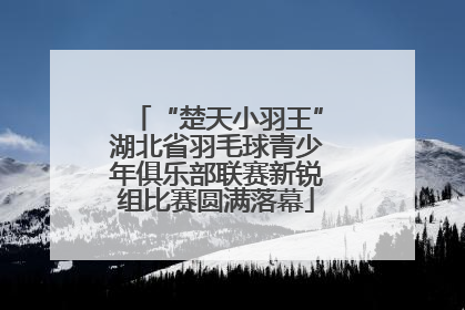 “楚天小羽王”湖北省羽毛球青少年俱乐部联赛新锐组比赛圆满落幕