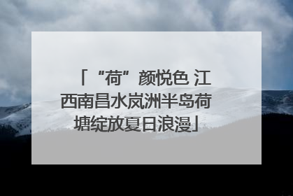 “荷”颜悦色 江西南昌水岚洲半岛荷塘绽放夏日浪漫