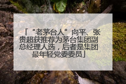“老茅台人”向平、张贵超获推荐为茅台集团副总经理人选，后者是集团最年轻党委委员
