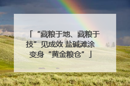 “藏粮于地、藏粮于技”见成效 盐碱滩涂变身“黄金粮仓”