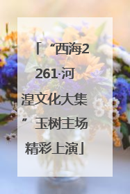 “西海2261·河湟文化大集”玉树主场精彩上演