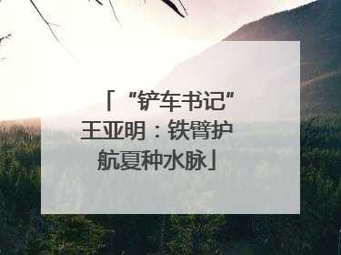 “铲车书记”王亚明：铁臂护航夏种水脉