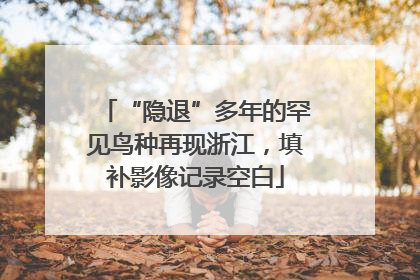 “隐退”多年的罕见鸟种再现浙江，填补影像记录空白