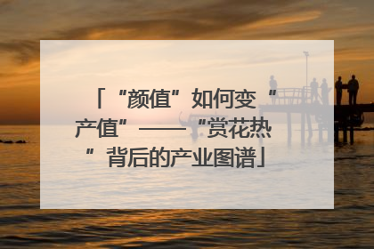 “颜值”如何变“产值”——“赏花热”背后的产业图谱