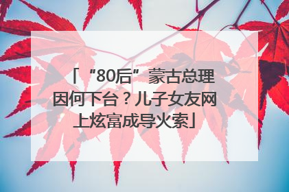 “80后”蒙古总理因何下台？儿子女友网上炫富成导火索
