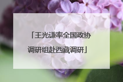 王光谦率全国政协调研组赴西藏调研