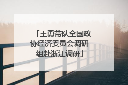 王勇带队全国政协经济委员会调研组赴浙江调研