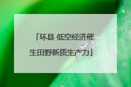 环县 低空经济催生田野新质生产力
