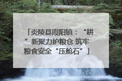 炎陵县霞阳镇：“耕”新聚力护粮仓 筑牢粮食安全“压舱石”