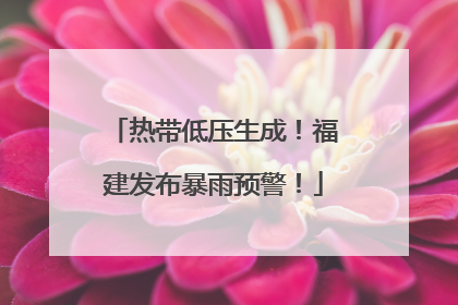 热带低压生成！福建发布暴雨预警！