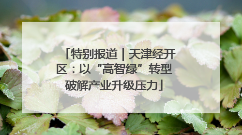 特别报道｜天津经开区：以“高智绿”转型破解产业升级压力