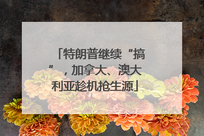 特朗普继续“搞”，加拿大、澳大利亚趁机抢生源