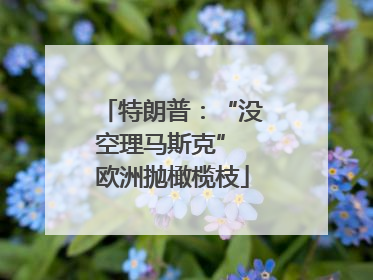 特朗普：“没空理马斯克” 欧洲抛橄榄枝
