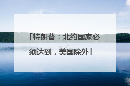 特朗普：北约国家必须达到，美国除外