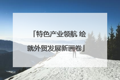 特色产业领航 绘就外贸发展新画卷