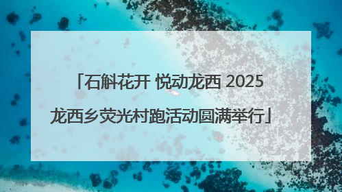 石斛花开 悦动龙西 2025龙西乡荧光村跑活动圆满举行