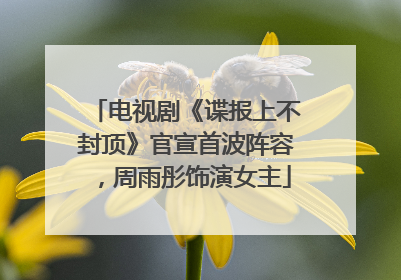 电视剧《谍报上不封顶》官宣首波阵容，周雨彤饰演女主