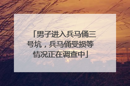 男子进入兵马俑三号坑，兵马俑受损等情况正在调查中