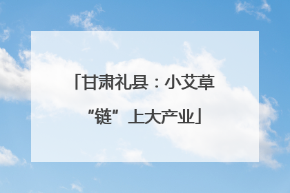 甘肃礼县：小艾草“链”上大产业