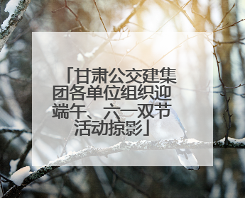 甘肃公交建集团各单位组织迎端午、六一双节活动掠影