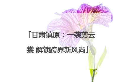 甘肃镇原：一袭剪云裳 解锁跨界新风尚