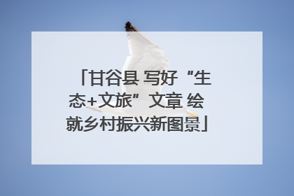 甘谷县 写好“生态+文旅”文章 绘就乡村振兴新图景