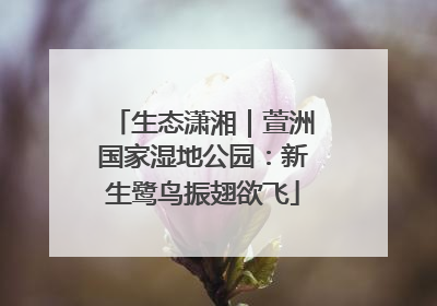 生态潇湘｜萱洲国家湿地公园：新生鹭鸟振翅欲飞