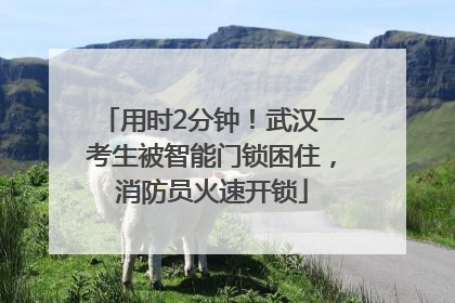 用时2分钟！武汉一考生被智能门锁困住，消防员火速开锁