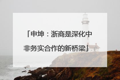申坤：浙商是深化中非务实合作的新桥梁