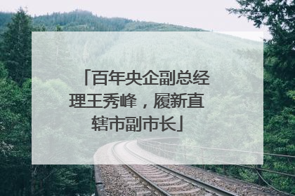 百年央企副总经理王秀峰，履新直辖市副市长