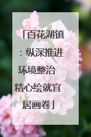 百花湖镇：纵深推进环境整治 精心绘就宜居画卷