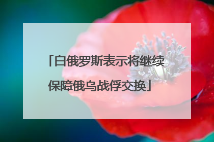 白俄罗斯表示将继续保障俄乌战俘交换