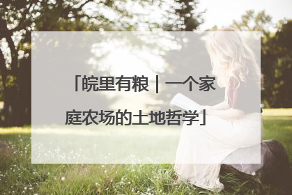 皖里有粮｜一个家庭农场的土地哲学