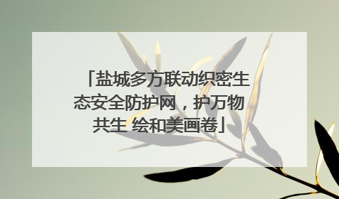 盐城多方联动织密生态安全防护网，护万物共生 绘和美画卷