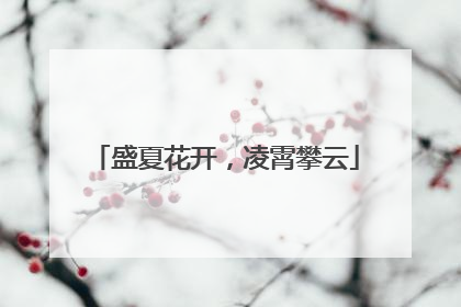 盛夏花开，凌霄攀云