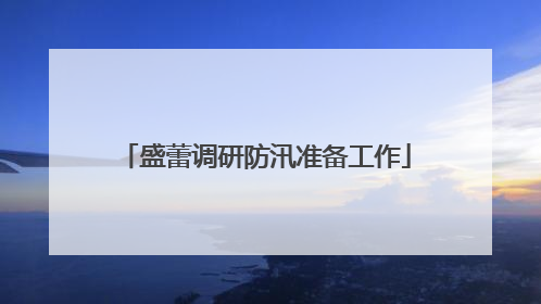 盛蕾调研防汛准备工作