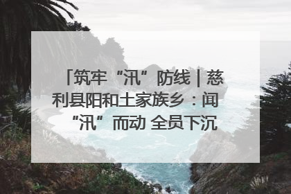 筑牢“汛”防线｜慈利县阳和土家族乡：闻“汛”而动 全员下沉筑牢防汛“安全堤”