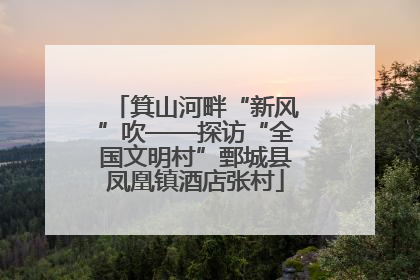 箕山河畔“新风”吹——探访“全国文明村”鄄城县凤凰镇酒店张村