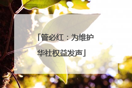管必红：为维护华社权益发声