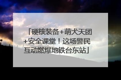 硬核装备+萌犬天团+安全课堂！这场警民互动燃爆地铁台东站