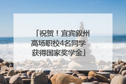 祝贺！宜宾叙州高场职校4名同学获得国家奖学金