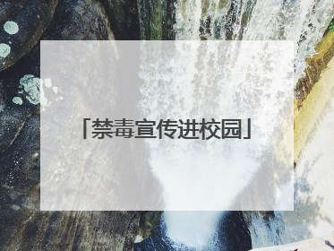 禁毒宣传进校园
